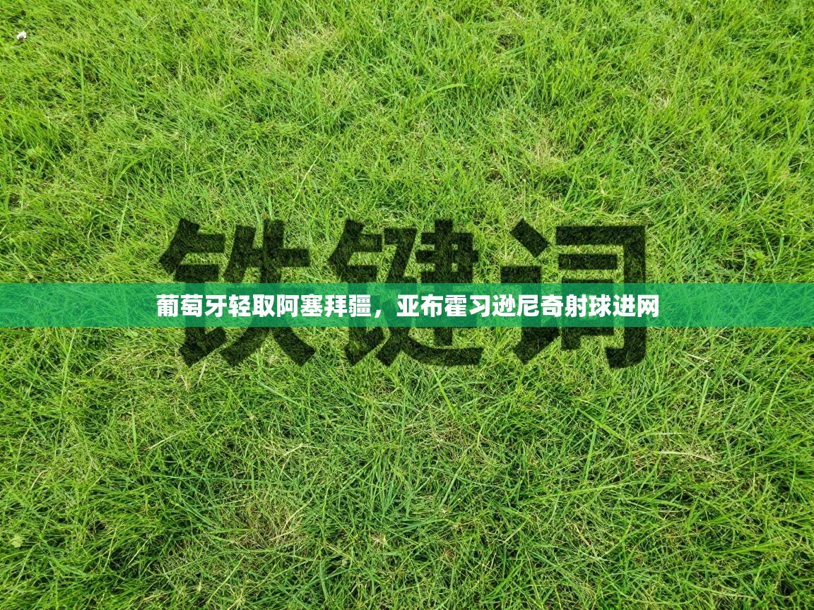 葡萄牙轻取阿塞拜疆,亚布霍习逊尼奇射球进网 第1张